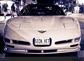 Sick Vet
