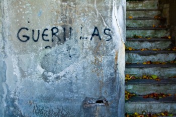 Guerillas