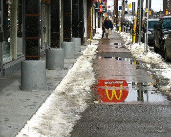 Puddle Reflections