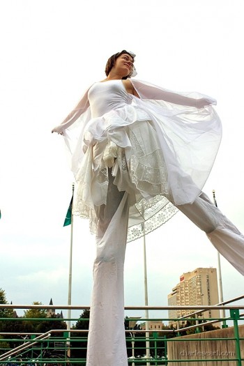 Stilts