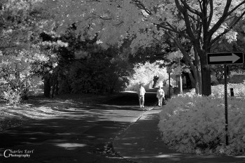 Walking