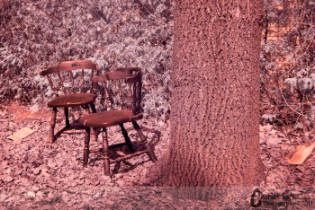 Resting Spots